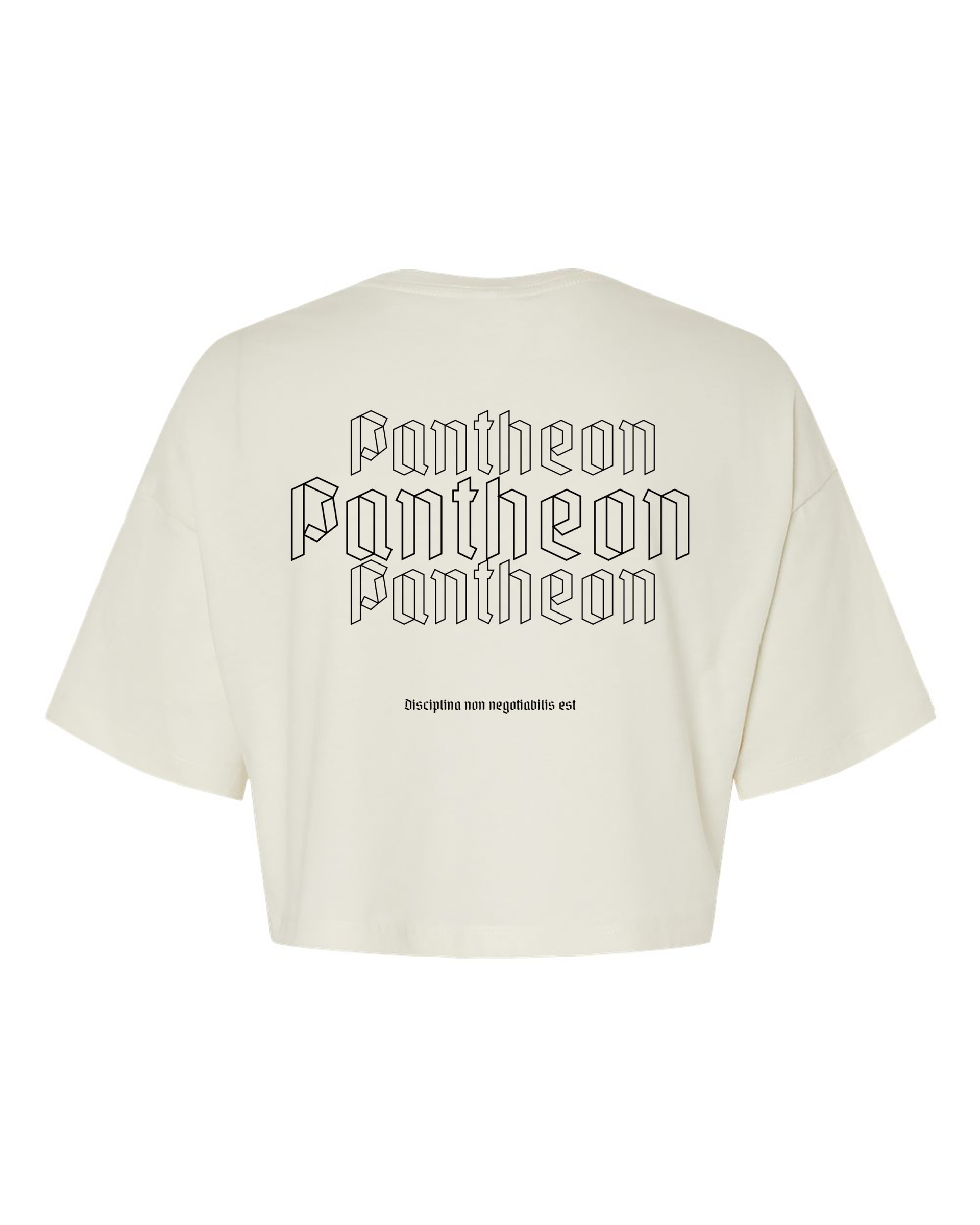 Vintage White: Skyline Cropped Tee